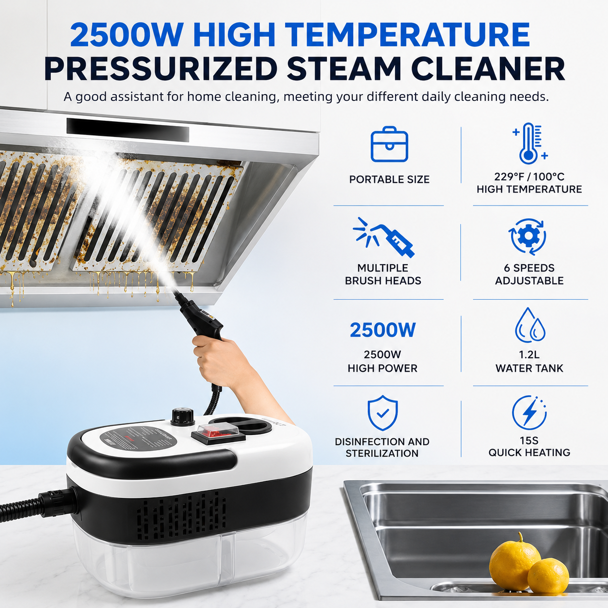 SteamElite – 100°C Steam Cleaning in Just 15 Seconds
